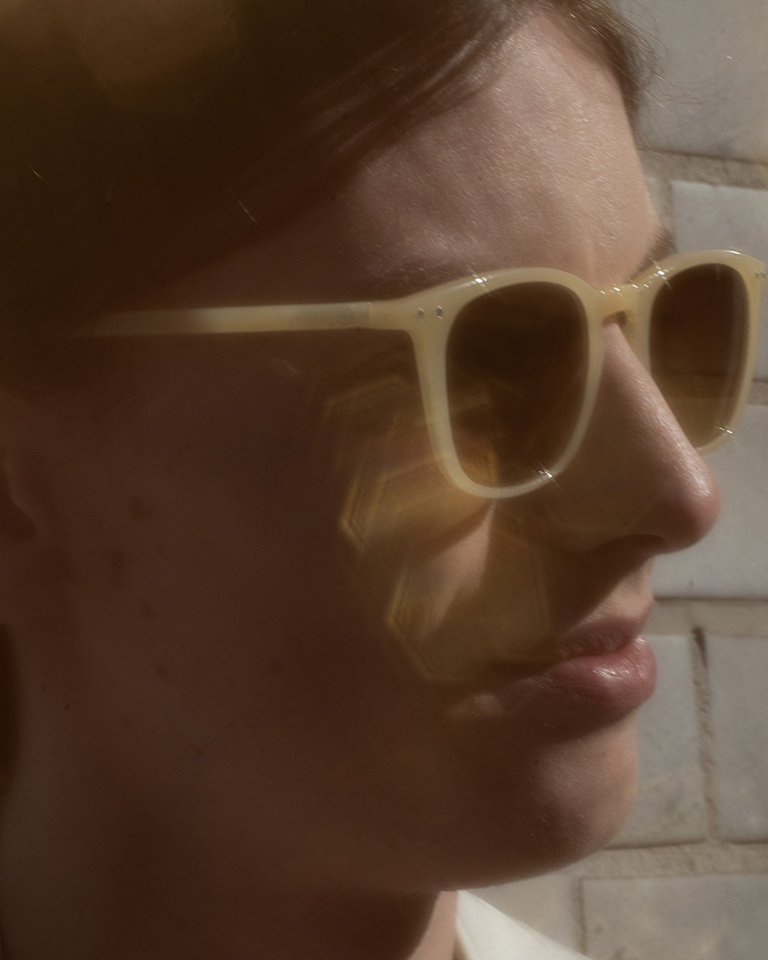 #E SUN Tortoise